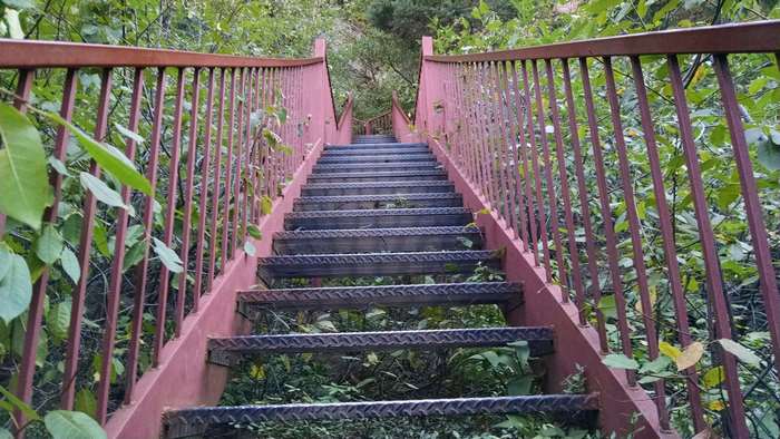 Metal staircase in jungle 4K