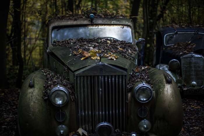 Abandoned vintage Rolls-Royce car in forest 4K