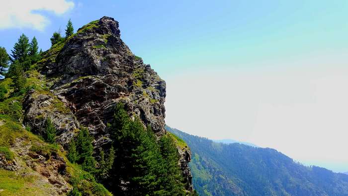 Rocky mountain peak with pine trees and blue sky