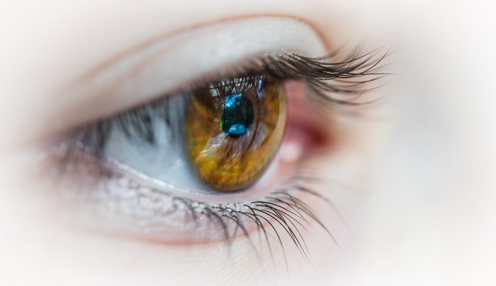 Close-up of a brown human eye with reflections