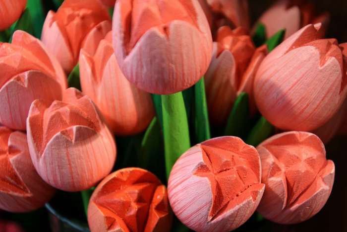 Pink wooden tulips from Holland