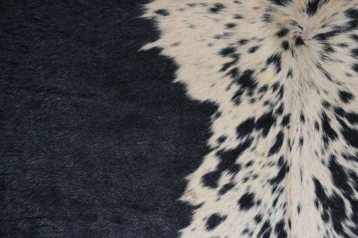 Black and white cow fur texture