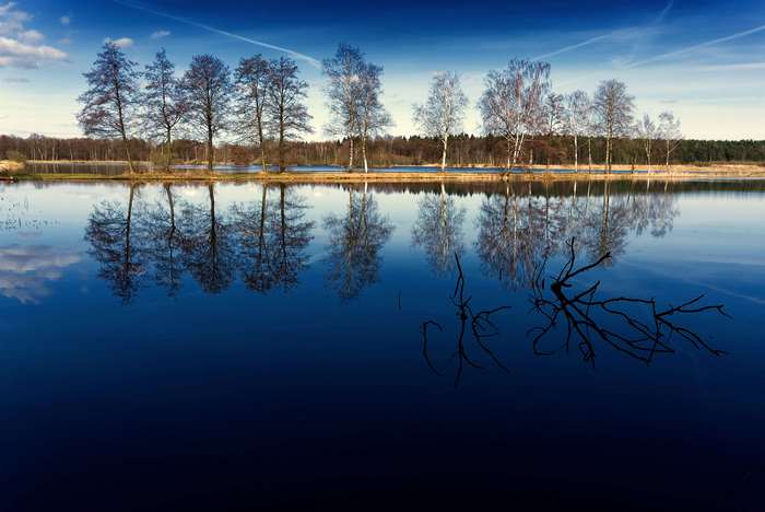 Trees reflected in a calm lake under a blue sky