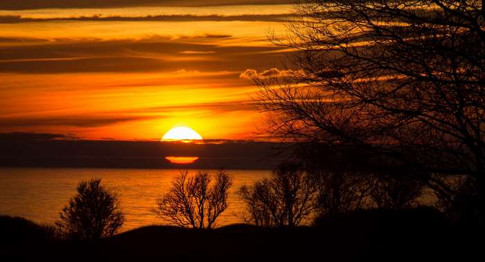 Sunset over the sea with trees in Denmark 4K