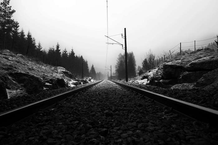 Black and white railroad tracks through a forest