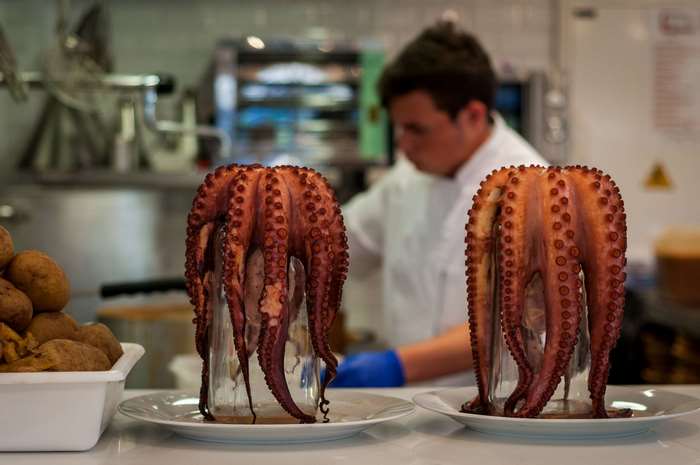 Cooked Octopuses on Plates in Restaurant Kitchen
