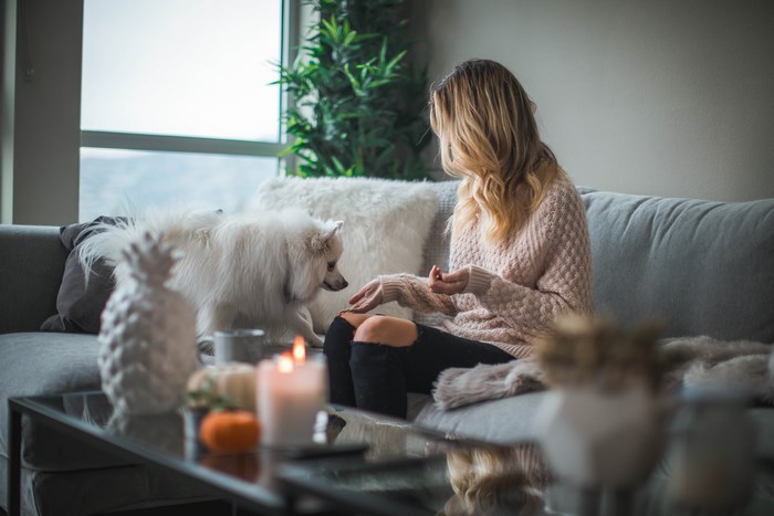Woman feeding a white dog on a couch