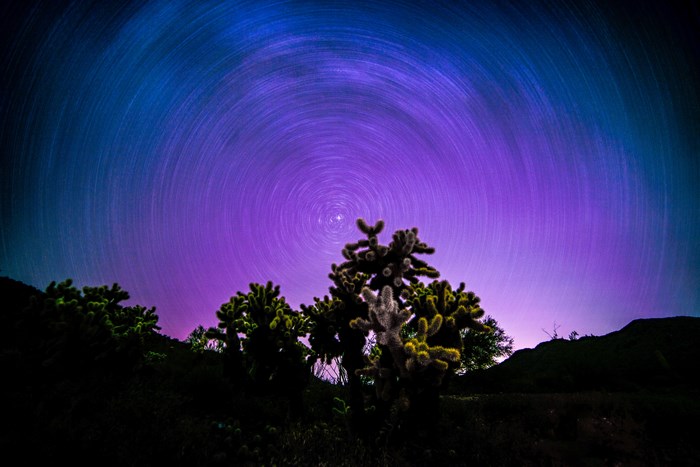 Star trail over Arizona desert with cacti