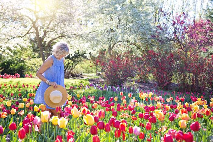 Woman in blue dress holding a straw hat in a field of tulips
