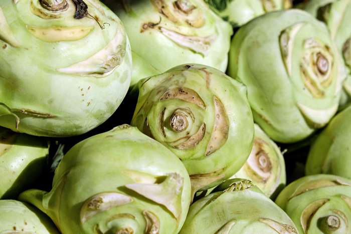 Fresh green kohlrabi vegetables