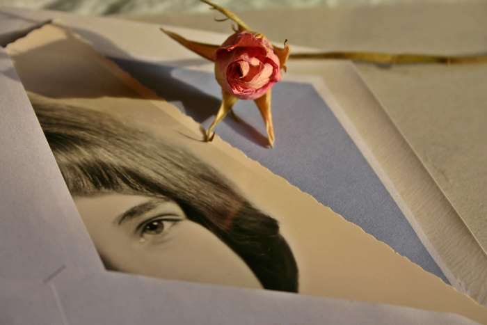 Dried rose on a vintage photograph of a girl