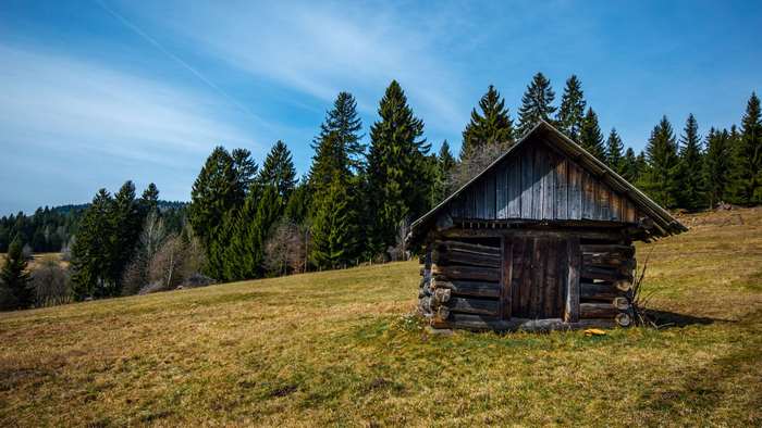 Log cabin in a grassy field with trees and sky