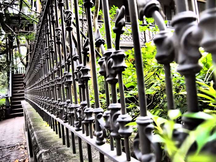 Decorative iron gate with stairs and foliage