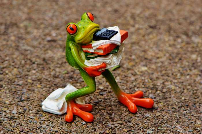 Ceramic frog carrying a stack of books and a calculator