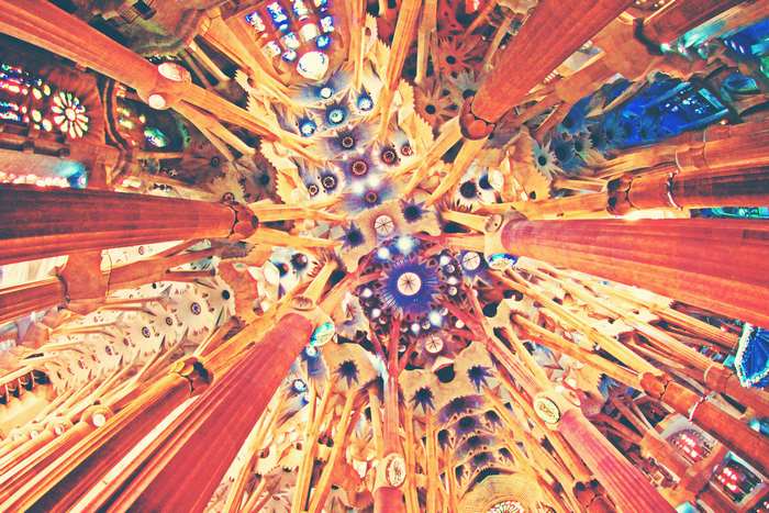 Sagrada Familia interior looking up at the ceiling