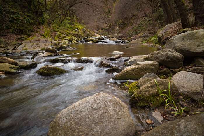 River flowing through a rocky forest landscape