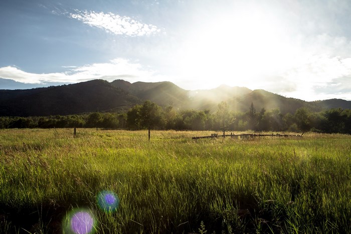 Sunlight over a grassy field with mountains in the background