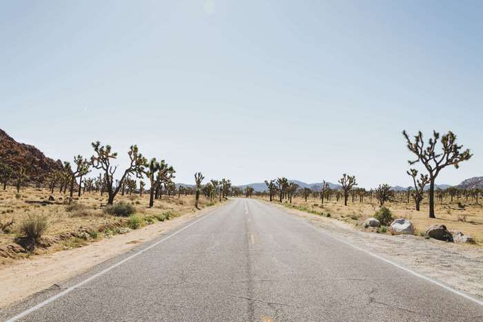 Road through Joshua Tree National Park, California
