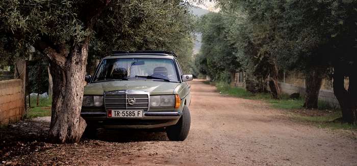 Mercedes parked on a dirt road lined with olive trees