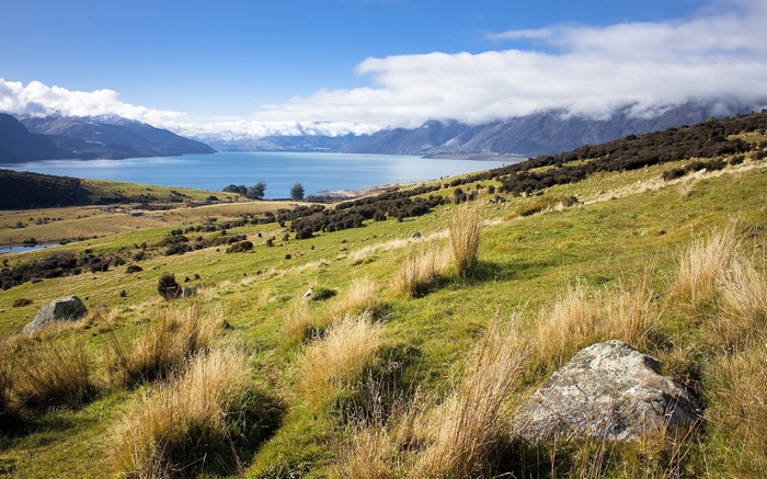 Grassy hillside overlooking a blue lake and mountains