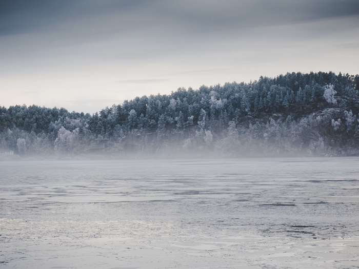 Frozen lake with misty forest in winter