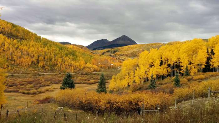 Autumn mountains with yellow aspen trees