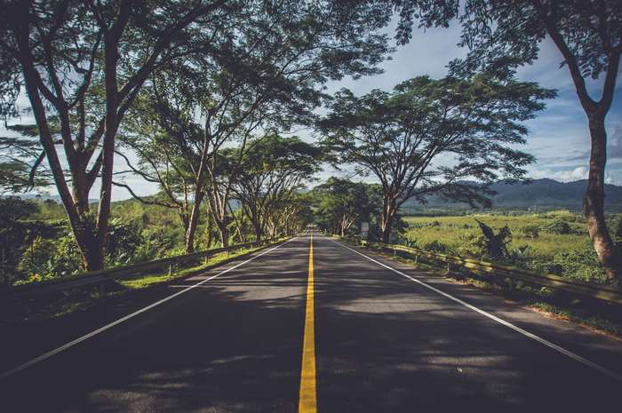 Scenic road lined with trees and mountains