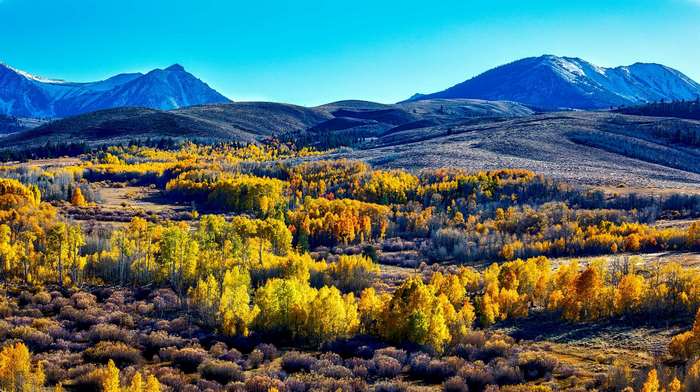 Autumn forest and mountains in California