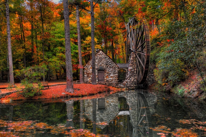 Autumn Forest Mill with Water Reflection