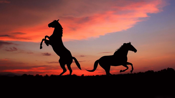 Two horses silhouetted against a sunset sky