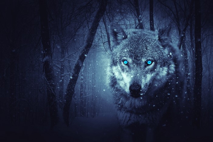 Wolf with glowing blue eyes in a snowy forest