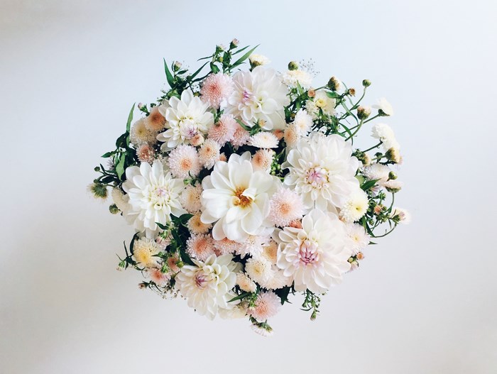 A delicate bouquet of white and pink dahlias and asters