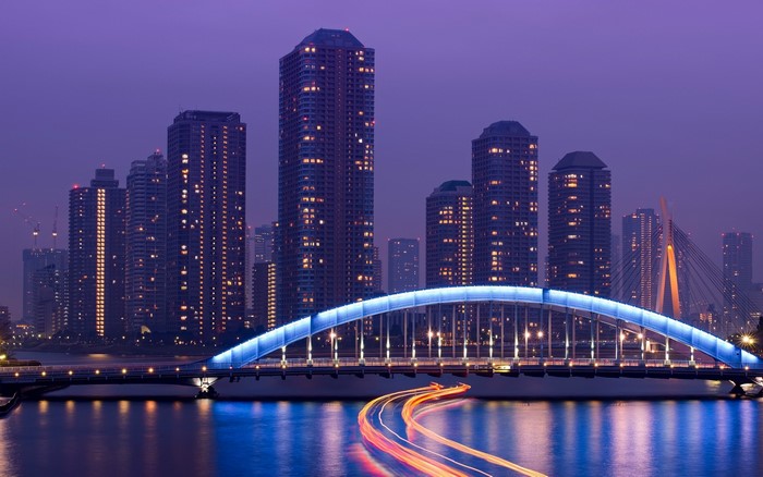 Tokyo cityscape with illuminated bridge at night