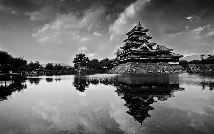 Black and White Japanese Castle Reflection