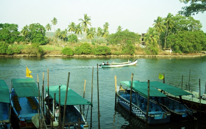 Boats on a river with palm trees in the background