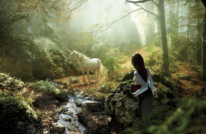 Girl and Unicorn in a Misty Forest