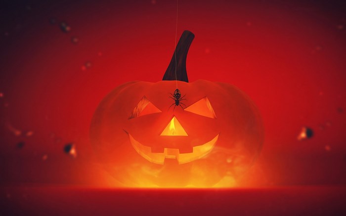 Jack-o'-lantern with spider and candle