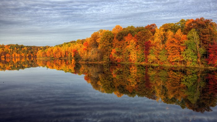 Autumn trees reflected in a lake