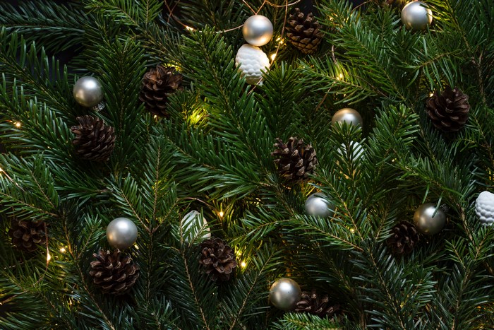 Christmas Pine Branches with Pinecones and Silver Ornaments