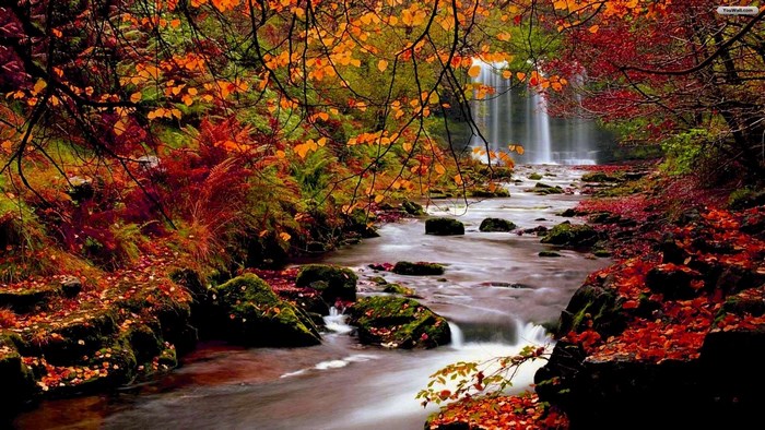 Serene Autumn River with Colorful Foliage