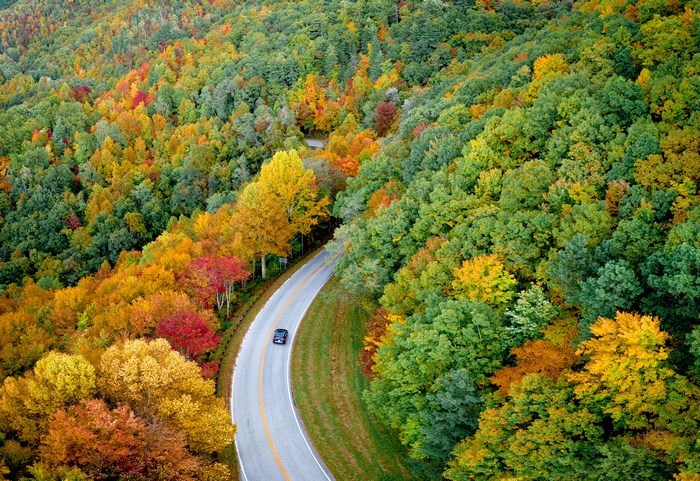 Car driving on a road through autumn forest