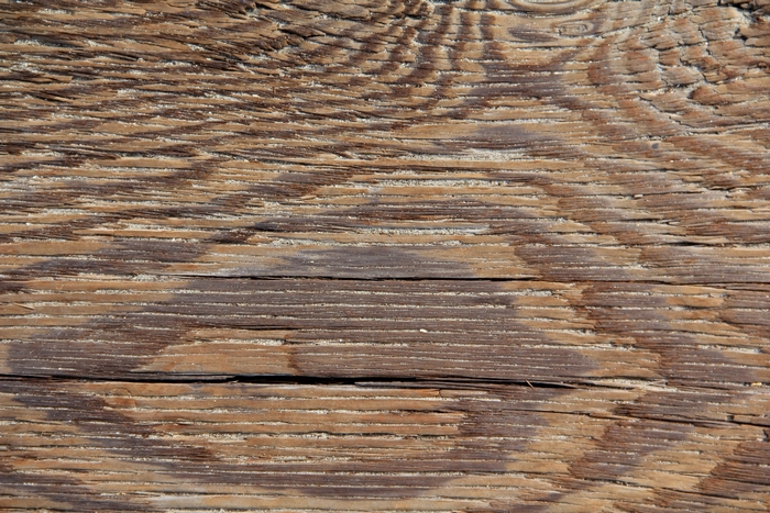 Close-up of weathered wood grain