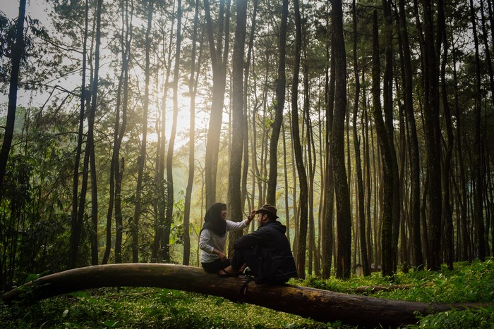 Couple sitting on a fallen tree in a forest