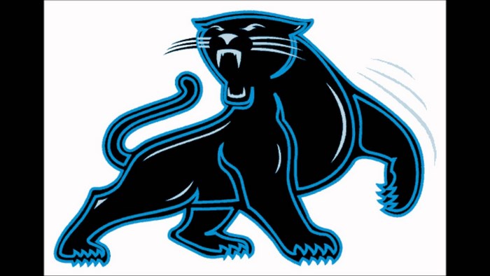 Carolina Panthers logo