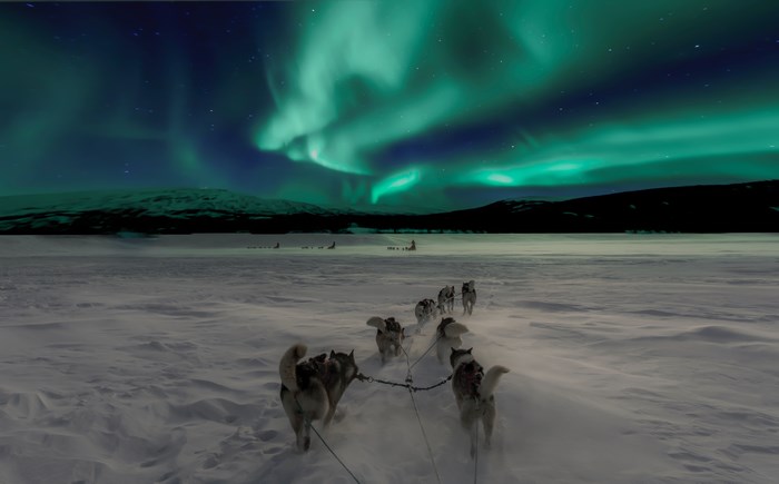 Husky dogs pulling a sleigh under the aurora borealis