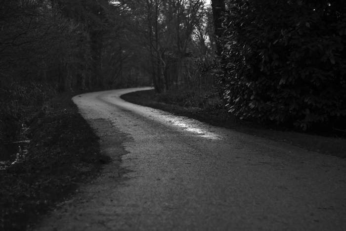 Winding road through a dark forest