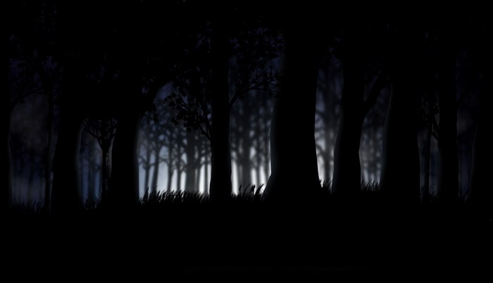 Dark forest at night with grass