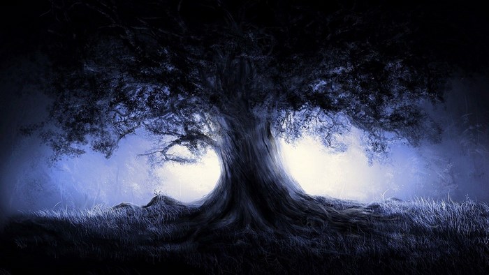 Dark, gnarled tree in a misty, moonlit forest