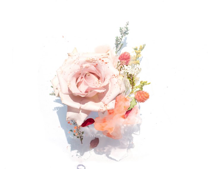 Delicate Pink Rose with Watercolor Floral Splatter