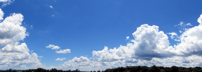 Blue sky with white clouds over trees